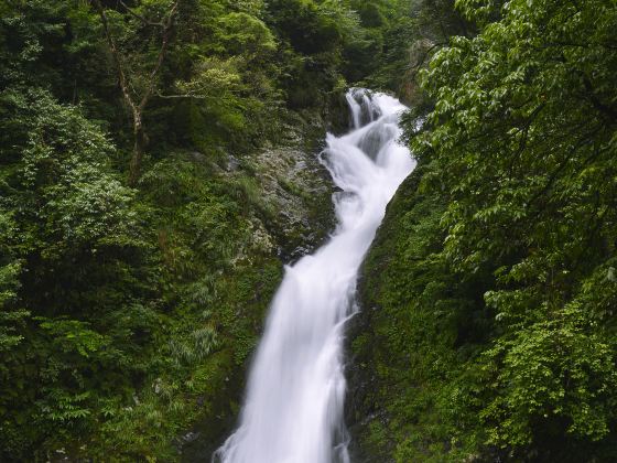 Longtan Waterfall, Jinggang Mountain