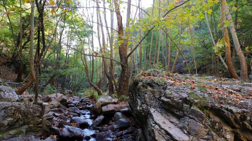 Yaoshan Scenic Area