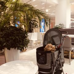 卡士(邵东总代理) User Photo