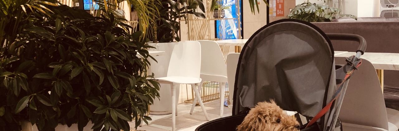 卡士(邵东总代理)