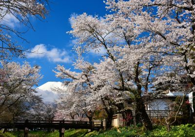 Mount Yoshino