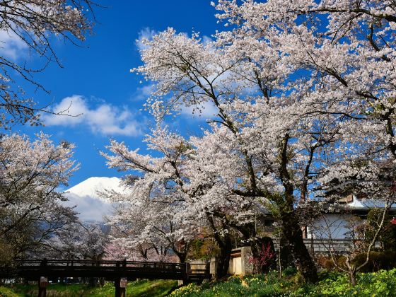 Mount Yoshino