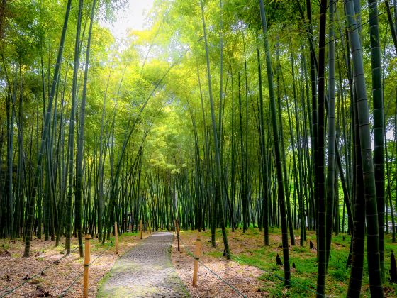 虎丘山風景名勝區