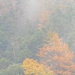 黄山魔宿·厢居集装箱野奢民宿·餐饮 User Photo