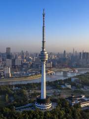 TV Tower, Guishan Hill Scenic Area