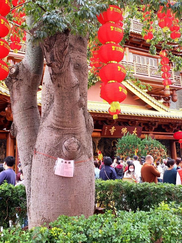 Beijing Road Pedestrian Street