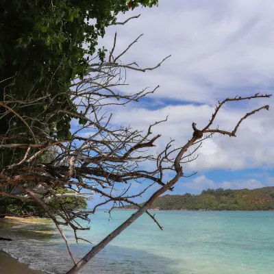 Busuanga Bay Lodge