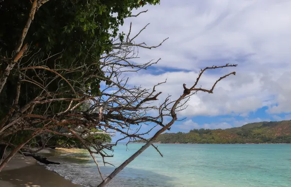 Busuanga Bay Lodge