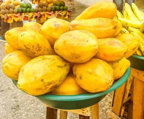 Номер с видом на горы Отели в г. Кали