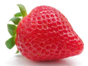 The Chicken Rice Shop