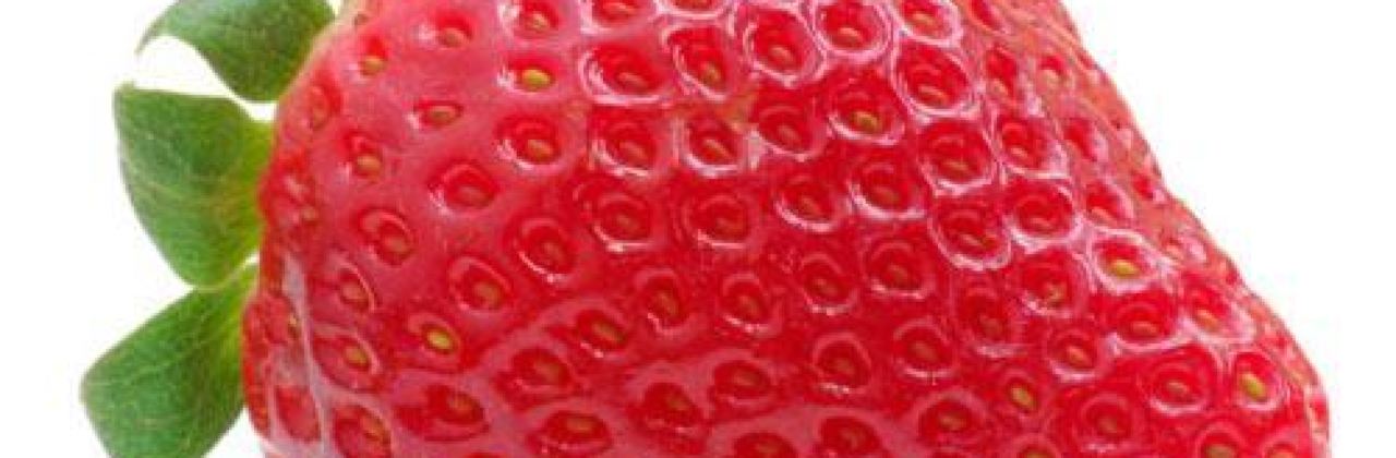 The Chicken Rice Shop