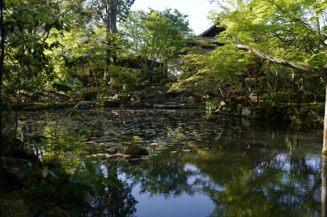 南禪寺