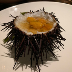 Isshi Souden Nakamura User Photo