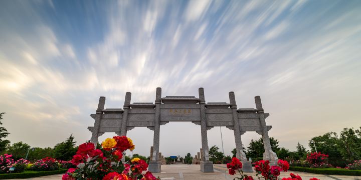 China Chinese Rose Garden