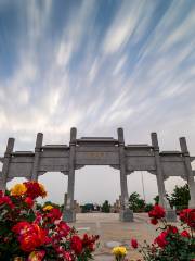 China Chinese Rose Garden