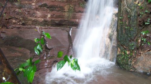 Duqiaoshan Forest Park