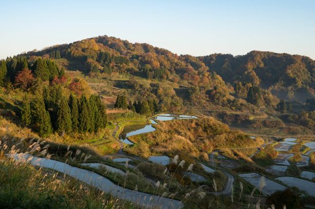 Tokamachi