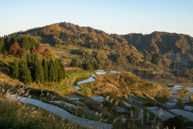 Tokamachi