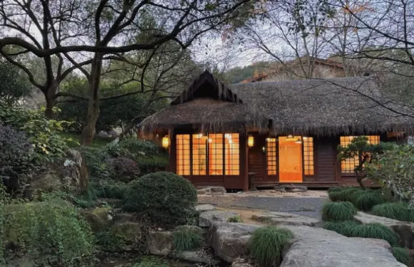 無花果茶藝體驗館（茶葉博物館店）