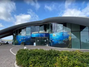 マルタ国立水族館