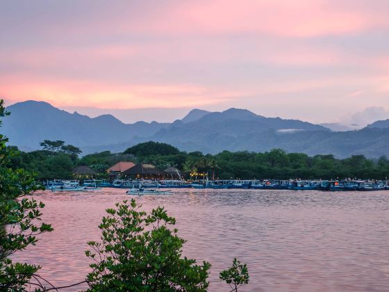 West Bali National Park