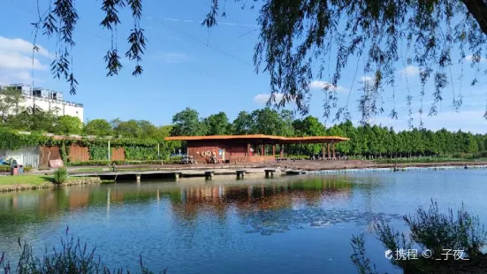 花橋生態濕地凈水公園