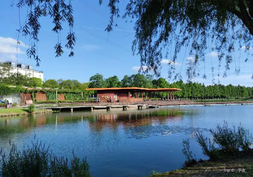 花橋生態濕地凈水公園