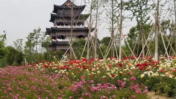 Meng Mountain