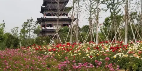 萌山公園