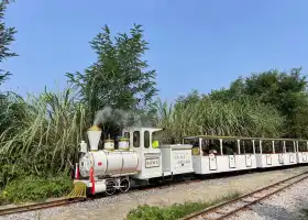 温江北林小火車