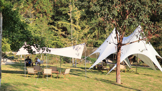 qu ye bu luo · mao zi feng yin xing lin lu ying di