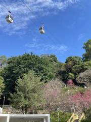 二龍喉公園