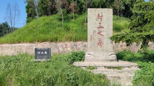 Tomb of Shang Zhou Wang Dixin