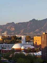 Universidad de Arizona