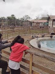 Parque Zonal Huascar