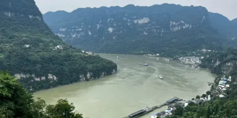 龍進溪