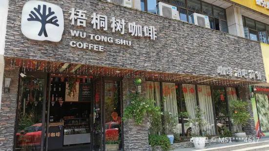 梧桐树咖啡(学前路店)