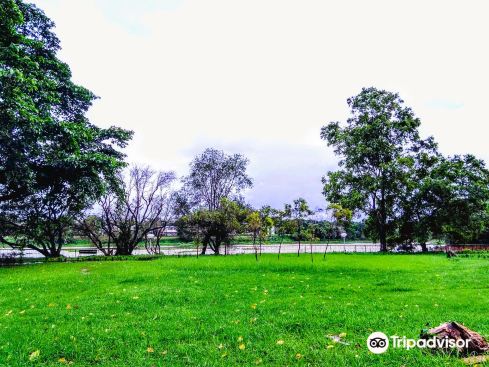 Ekamra Kanan Botanical Gardens