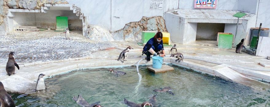 Hinotonton Zoo (Hamura Zoo)
