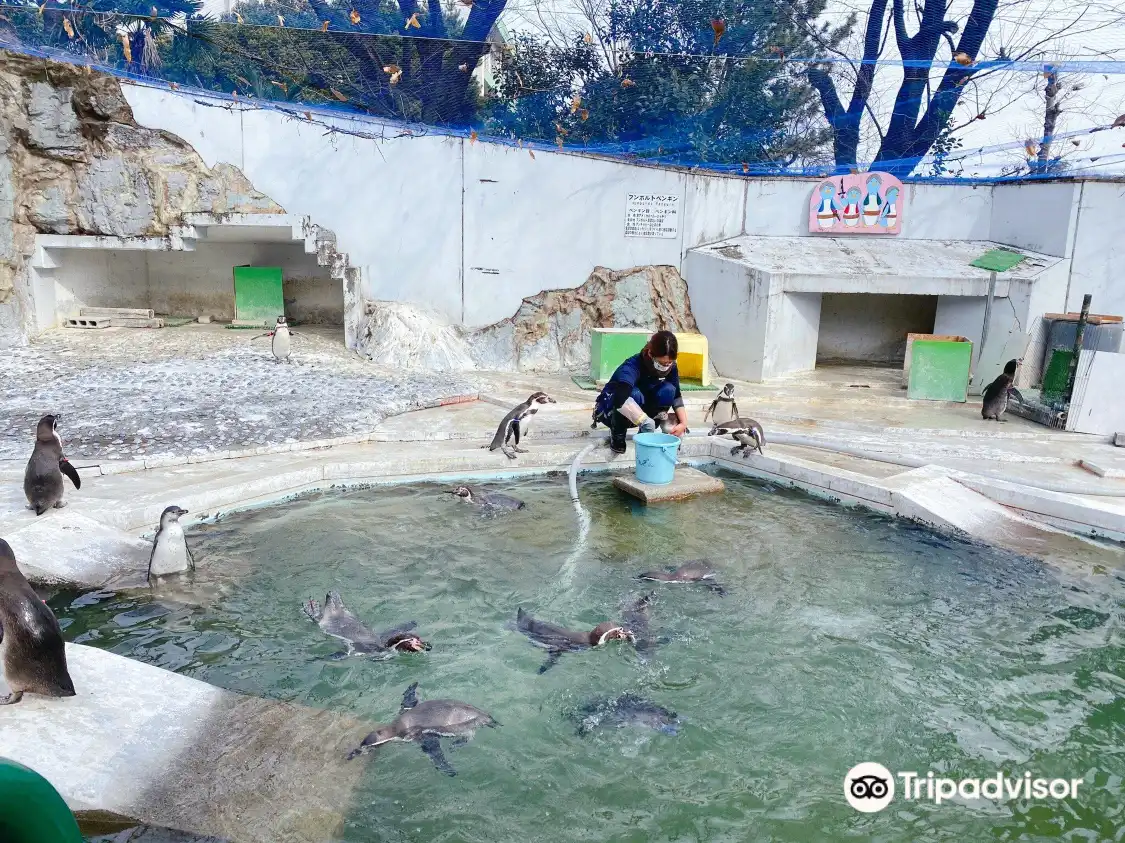 Hotel in zona Hamura Zoo