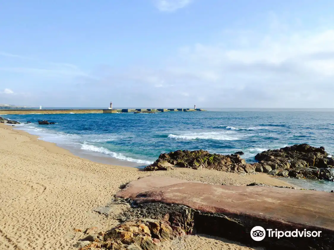 Praia dos Ingleses 주변 호텔