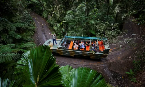 Rainforestation Nature Park
