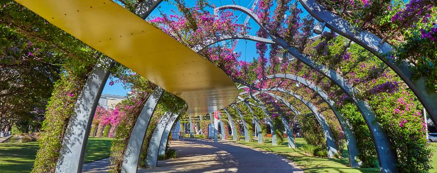 사우스뱅크 파클랜드