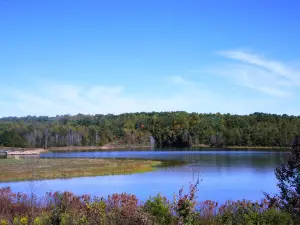 Yadkin Memorial Park