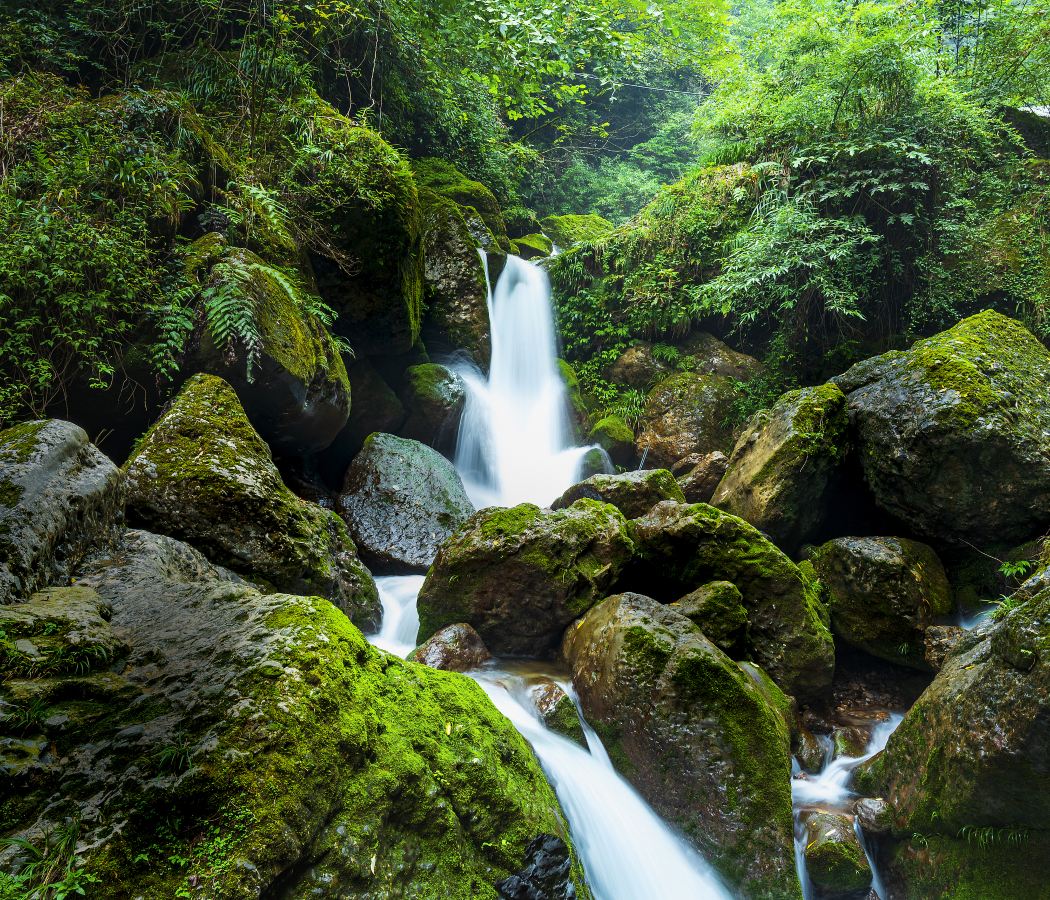 Qingcheng Mountain and Tai'An Ancient Town
