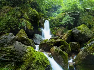 Rear Mt.Qingcheng