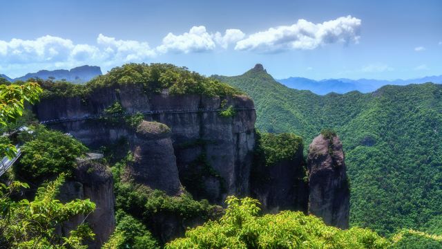 Tianmu Mountain Xinchang