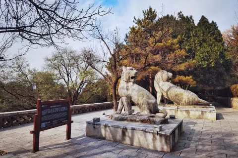 Yaowang Mountain