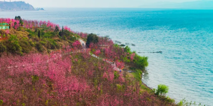 撫仙湖國際旅遊度假區
