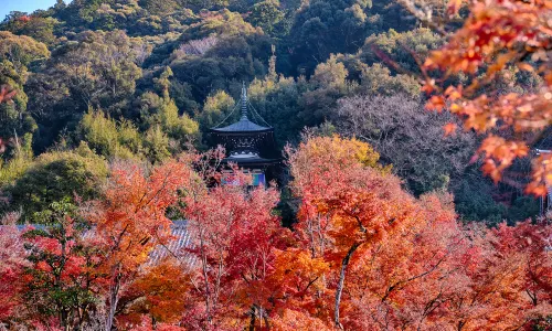 Eikandō Temple